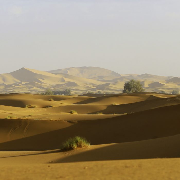 Marrocos Deserto dos Sonhos Set 2019 (503)