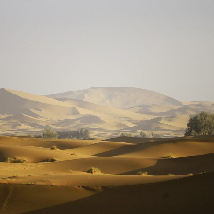 Marrocos Deserto dos Sonhos Set 2019 (504)